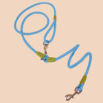 4-SOGA 220cm Multifunction Hands-Free Rope Pet Cat Dog Puppy Double Ended Leash for Walking Training Tracking Obedience Blue