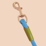 5-SOGA 220cm Multifunction Hands-Free Rope Pet Cat Dog Puppy Double Ended Leash for Walking Training Tracking Obedience Blue