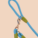 6-SOGA 220cm Multifunction Hands-Free Rope Pet Cat Dog Puppy Double Ended Leash for Walking Training Tracking Obedience Blue