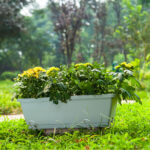 5-SOGA 49.5cm Blue Rectangular Planter Vegetable Herb Flower Outdoor Plastic Box with Holder Balcony Garden Decor Set of 2