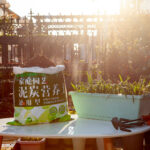 7-SOGA 49.5cm Green Rectangular Planter Vegetable Herb Flower Outdoor Plastic Box with Holder Balcony Garden Decor Set of 2