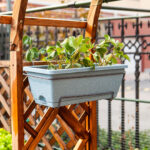 7-SOGA 49.5cm Blue Rectangular Planter Vegetable Herb Flower Outdoor Plastic Box with Holder Balcony Garden Decor Set of 5