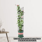 2-SOGA 2X 133cm 4-Bar Plant Frame Stand Trellis Vegetable Flower Herbs Outdoor Vine Support Garden Rack with Rings
