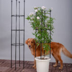 3-SOGA 2X 133cm 4-Bar Plant Frame Stand Trellis Vegetable Flower Herbs Outdoor Vine Support Garden Rack with Rings