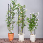 4-SOGA 2X 133cm 4-Bar Plant Frame Stand Trellis Vegetable Flower Herbs Outdoor Vine Support Garden Rack with Rings
