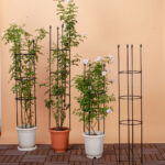 5-SOGA 2X 133cm 4-Bar Plant Frame Stand Trellis Vegetable Flower Herbs Outdoor Vine Support Garden Rack with Rings