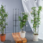 7-SOGA 2X 133cm 4-Bar Plant Frame Stand Trellis Vegetable Flower Herbs Outdoor Vine Support Garden Rack with Rings