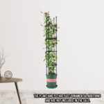 2-SOGA 2X 163cm 4-Bar Plant Frame Stand Trellis Vegetable Flower Herbs Outdoor Vine Support Garden Rack with Rings