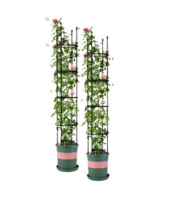 1-SOGA 2X 163cm 4-Bar Plant Frame Stand Trellis Vegetable Flower Herbs Outdoor Vine Support Garden Rack with Rings