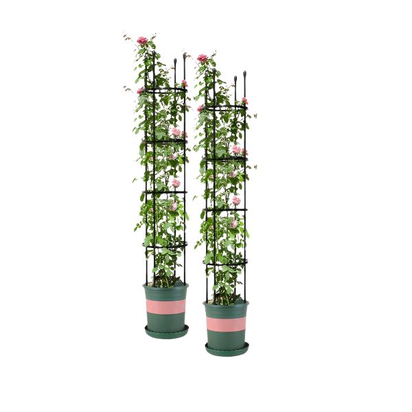 1-SOGA 2X 163cm 4-Bar Plant Frame Stand Trellis Vegetable Flower Herbs Outdoor Vine Support Garden Rack with Rings