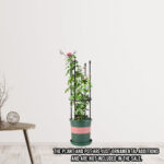 2-SOGA 73cm 4-Bar Plant Frame Stand Trellis Vegetable Flower Herbs Outdoor Vine Support Garden Rack with Rings