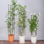 4-SOGA 73cm 4-Bar Plant Frame Stand Trellis Vegetable Flower Herbs Outdoor Vine Support Garden Rack with Rings