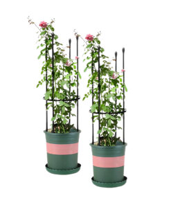 1-SOGA 2X 73cm 4-Bar Plant Frame Stand Trellis Vegetable Flower Herbs Outdoor Vine Support Garden Rack with Rings