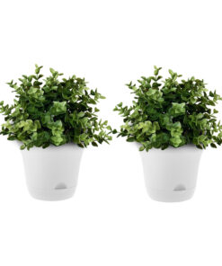 1-SOGA 19.5 cm White Plastic Plant Pot Self Watering Planter Flower Bonsai Indoor Outdoor Garden Decor Set of 2