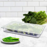 2-SOGA 65mm Clear Gastronorm GN Pan 1/1 Food Tray Storage Bundle of 2 with Lid