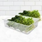 3-SOGA 150mm Clear Gastronorm GN Pan 1/1 Food Tray Storage Bundle of 6
