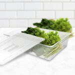 3-SOGA 150mm Clear Gastronorm GN Pan 1/1 Food Tray Storage Bundle of 4 with Lid