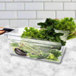 4-SOGA 200mm Clear Gastronorm GN Pan 1/1 Food Tray Storage Bundle of 2