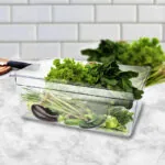 4-SOGA 200mm Clear Gastronorm GN Pan 1/1 Food Tray Storage Bundle of 4