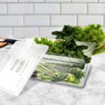 4-SOGA 200mm Clear Gastronorm GN Pan 1/1 Food Tray Storage Bundle of 6 with Lid