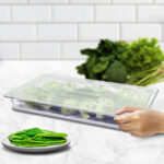 2-SOGA 65mm Clear Gastronorm GN Pan 1/2 Food Tray Storage Bundle of 4 with Lid