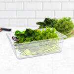 3-SOGA 100mm Clear Gastronorm GN Pan 1/2 Food Tray Storage Bundle of 2