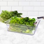 2-SOGA 150mm Clear Gastronorm GN Pan 1/2 Food Tray Storage Bundle of 4