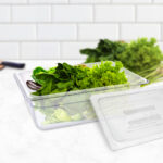 3-SOGA 150mm Clear Gastronorm GN Pan 1/2 Food Tray Storage with Lid
