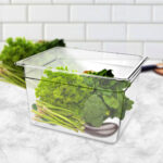 2-SOGA 200mm Clear Gastronorm GN Pan 1/2 Food Tray Storage Bundle of 4
