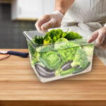 6-SOGA 200mm Clear Gastronorm GN Pan 1/2 Food Tray Storage Bundle of 4