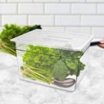 2-SOGA 200mm Clear Gastronorm GN Pan 1/2 Food Tray Storage with Lid
