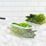 3-SOGA 65mm Clear Gastronorm GN Pan 1/3 Food Tray Storage Bundle of 6