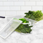 3-SOGA 100mm Clear Gastronorm GN Pan 1/3 Food Tray Storage Bundle of 4 with Lid