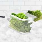 3-SOGA 150mm Clear Gastronorm GN Pan 1/3 Food Tray Storage Bundle of 4