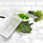 3-SOGA 150mm Clear Gastronorm GN Pan 1/3 Food Tray Storage Bundle of 4 with Lid