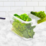 3-SOGA 200mm Clear Gastronorm GN Pan 1/3 Food Tray Storage Bundle of 4