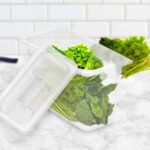 3-SOGA 200mm Clear Gastronorm GN Pan 1/3 Food Tray Storage Bundle of 2 with Lid