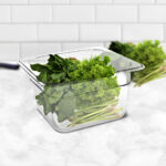 2-SOGA 150mm Clear Gastronorm GN Pan 1/6 Food Tray Storage Bundle of 4