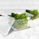 2-SOGA 150mm Clear Gastronorm GN Pan 1/6 Food Tray Storage Bundle of 2 with Lid