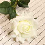 8-SOGA 85cm Clear Glass Tall Floor Vase with 12pcs White Artificial Fake Flower Set