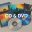 CD and DVD