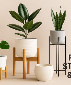 Plant Stands & Pots