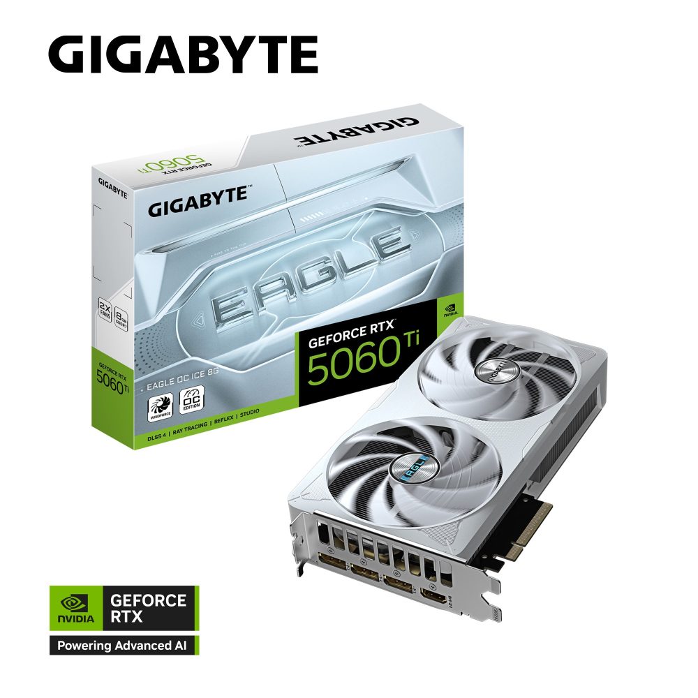 Video/Graphics Cards