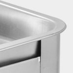 4-4X 45CM Portable Stainless Steel Outdoor Chafing Dish BBQ Fish Stove Grill Plate