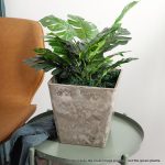 5-SOGA 27cm Sand Grey Square Resin Plant Flower Pot in Cement Pattern Planter Cachepot for Indoor Home Office