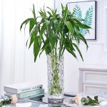 4-SOGA 14cmx30cm Heavy Duty Glass Vase Crystal Clear Design for Home Décor