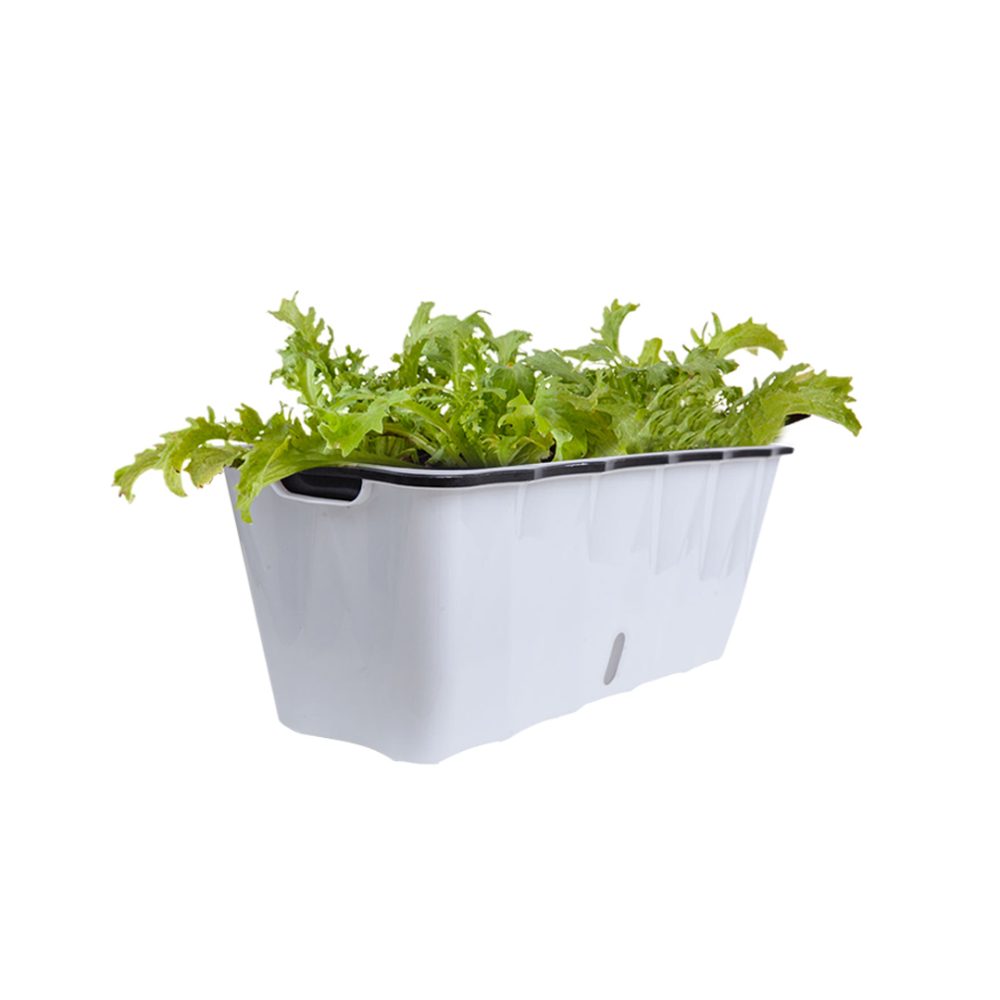 1-SOGA 50cm Large White Rectangular Flowerpot Vegetable Herb Flower Outdoor Plastic Box Garden Decor