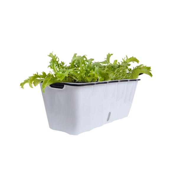 1-SOGA 50cm Large White Rectangular Flowerpot Vegetable Herb Flower Outdoor Plastic Box Garden Decor