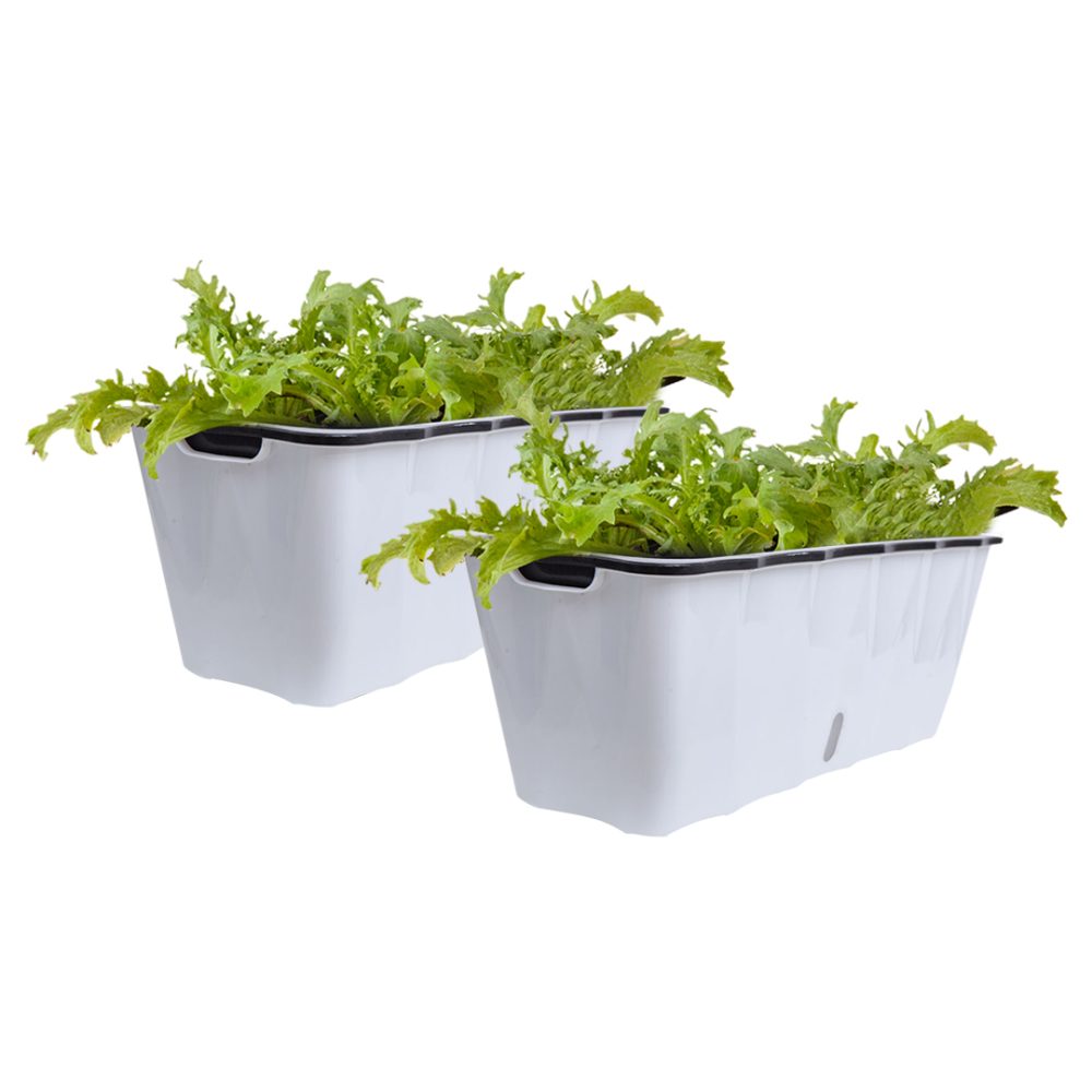 1-SOGA 2X Large White Rectangular Flowerpot Vegetable Herb Flower Outdoor Plastic Box Garden Decor