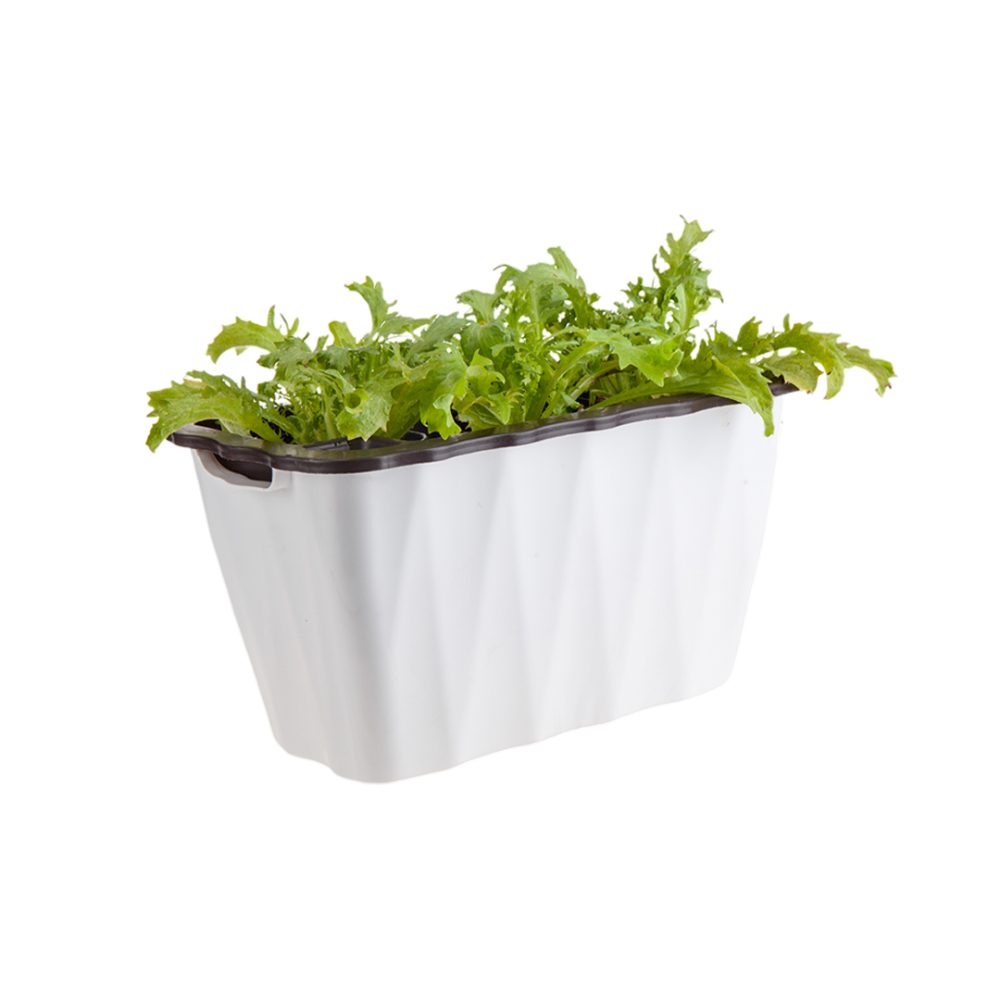 1-SOGA 35cm Small White Rectangular Flowerpot Vegetable Herb Flower Outdoor Plastic Box Garden Decor